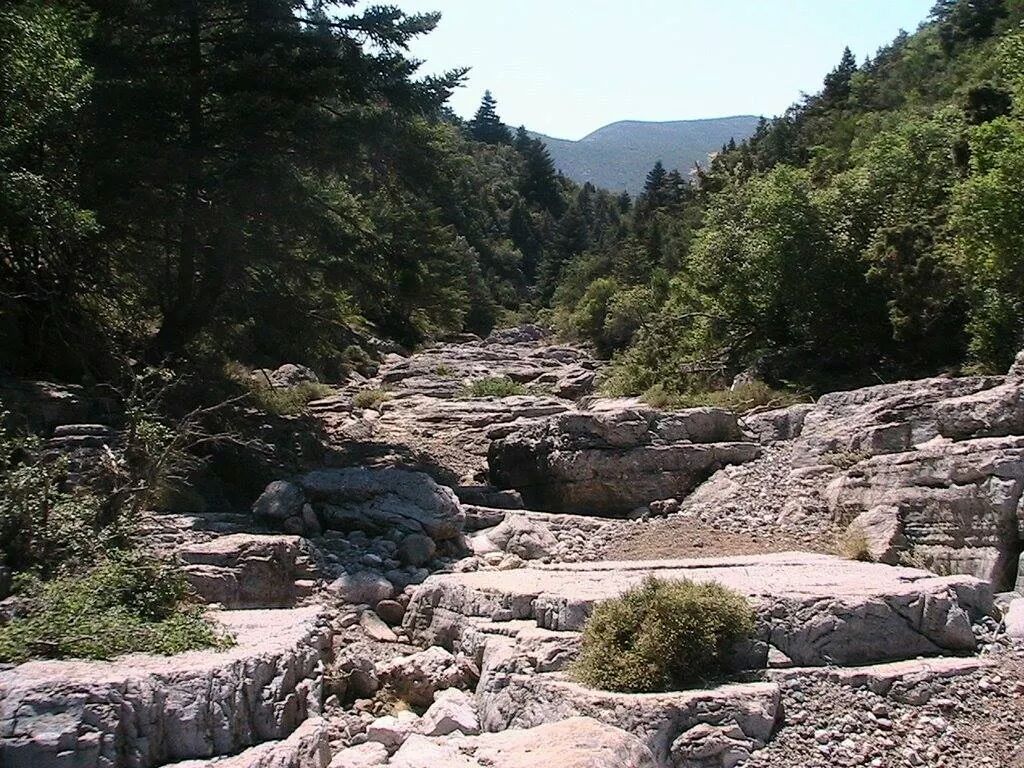 238226 img 105975076229632